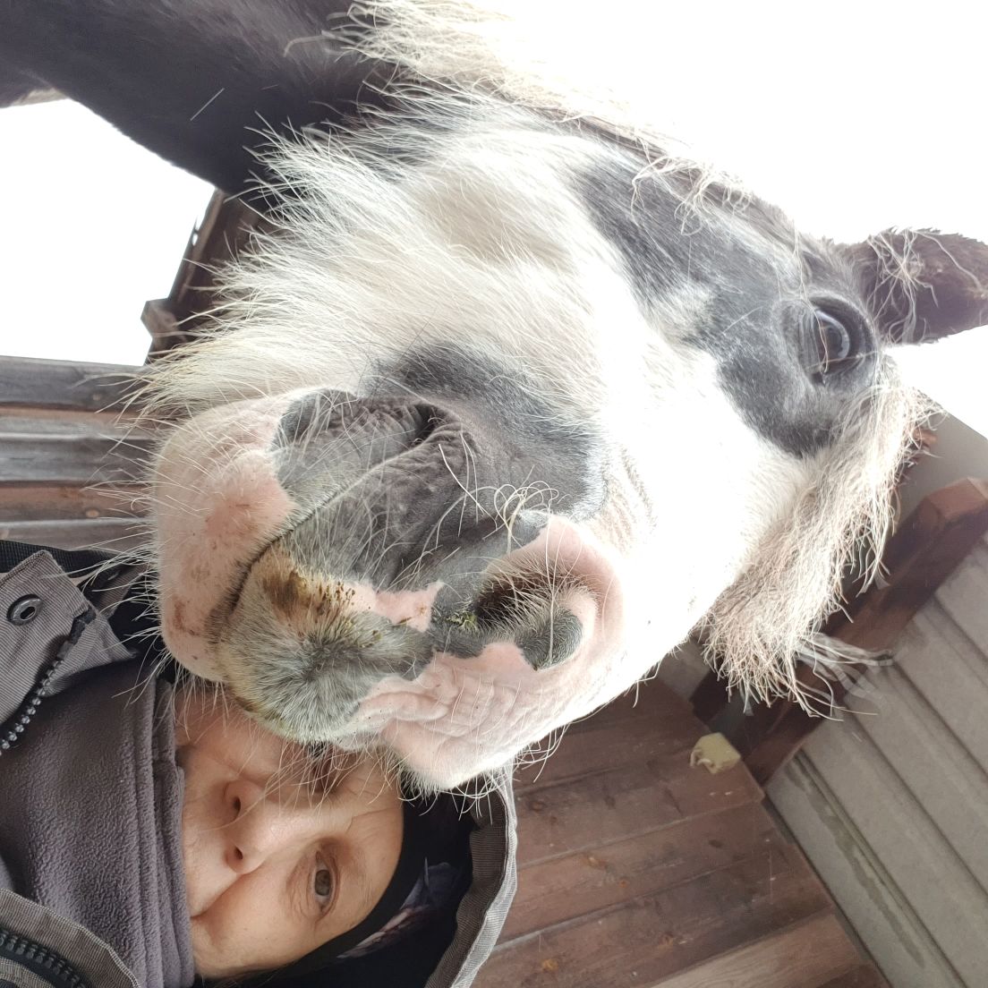 2023 11 November 576